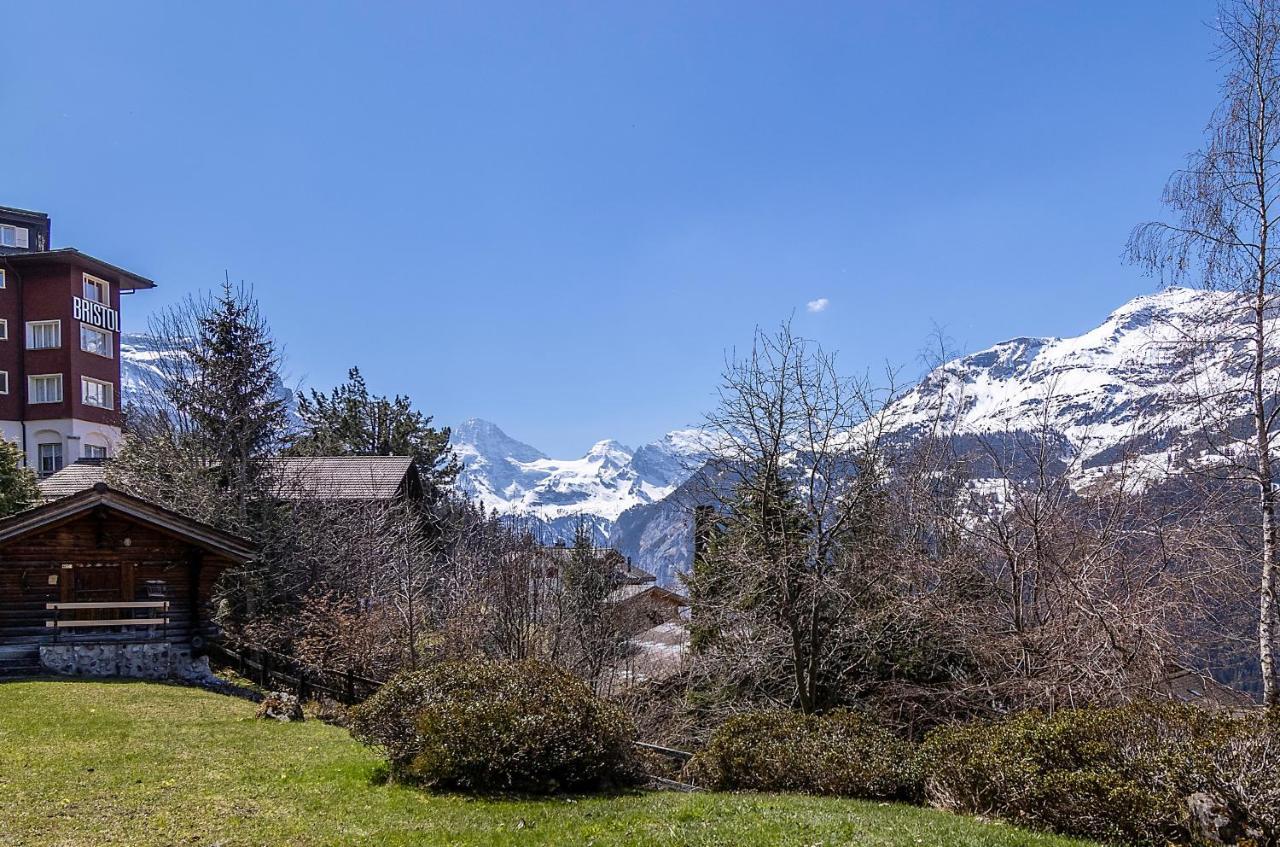 Chalet Steingaertli 1 Wengen Esterno foto