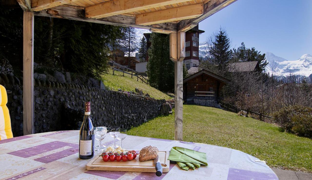 Chalet Steingaertli 1 Wengen Esterno foto